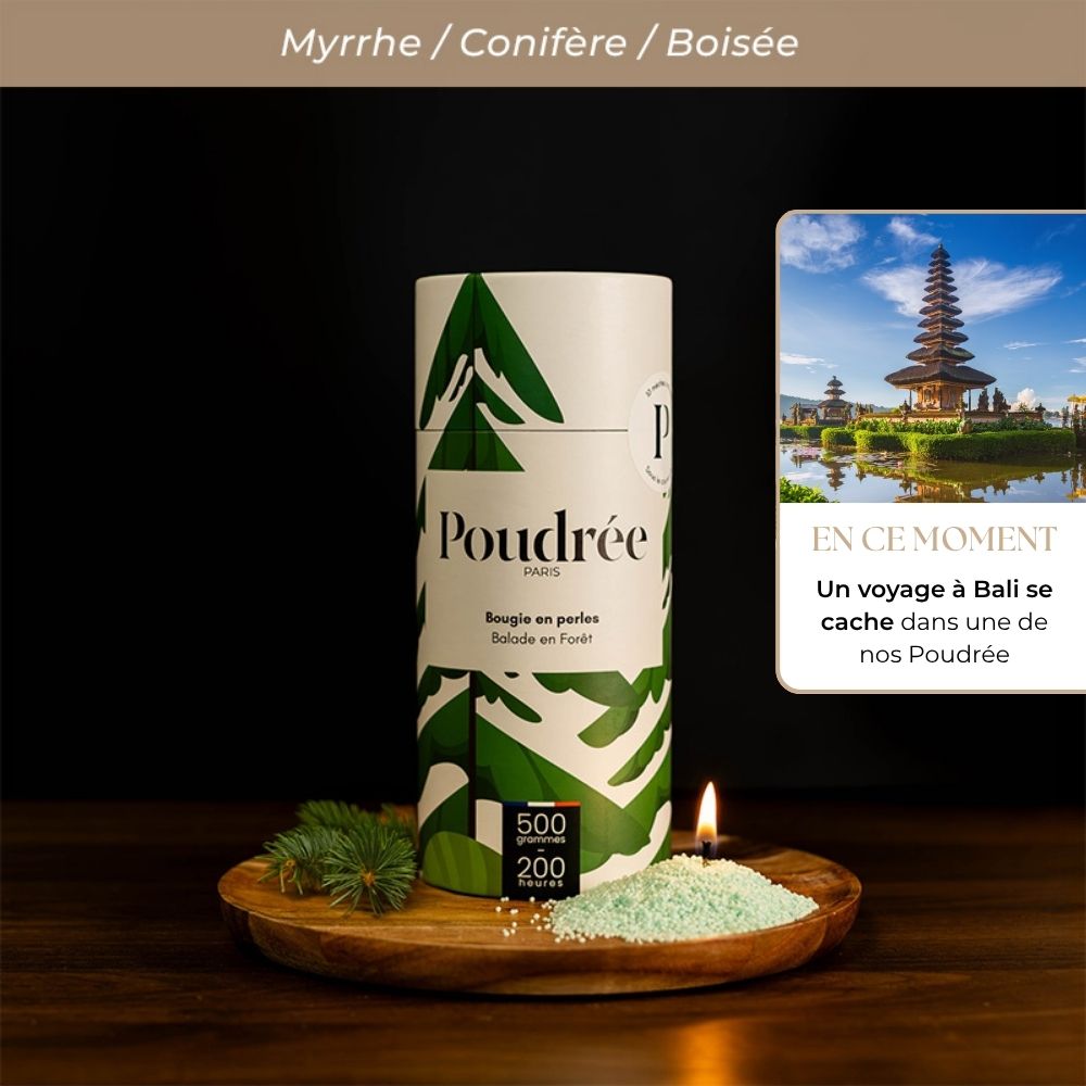 Poudrée Permanente - Balade en Forêt