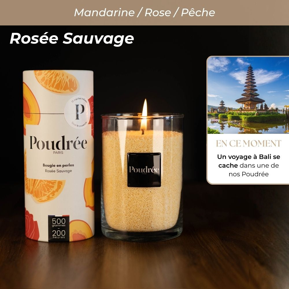 Pack Découverte Permanente