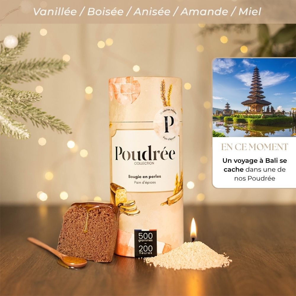 Poudrée Noël - Pain d'épices