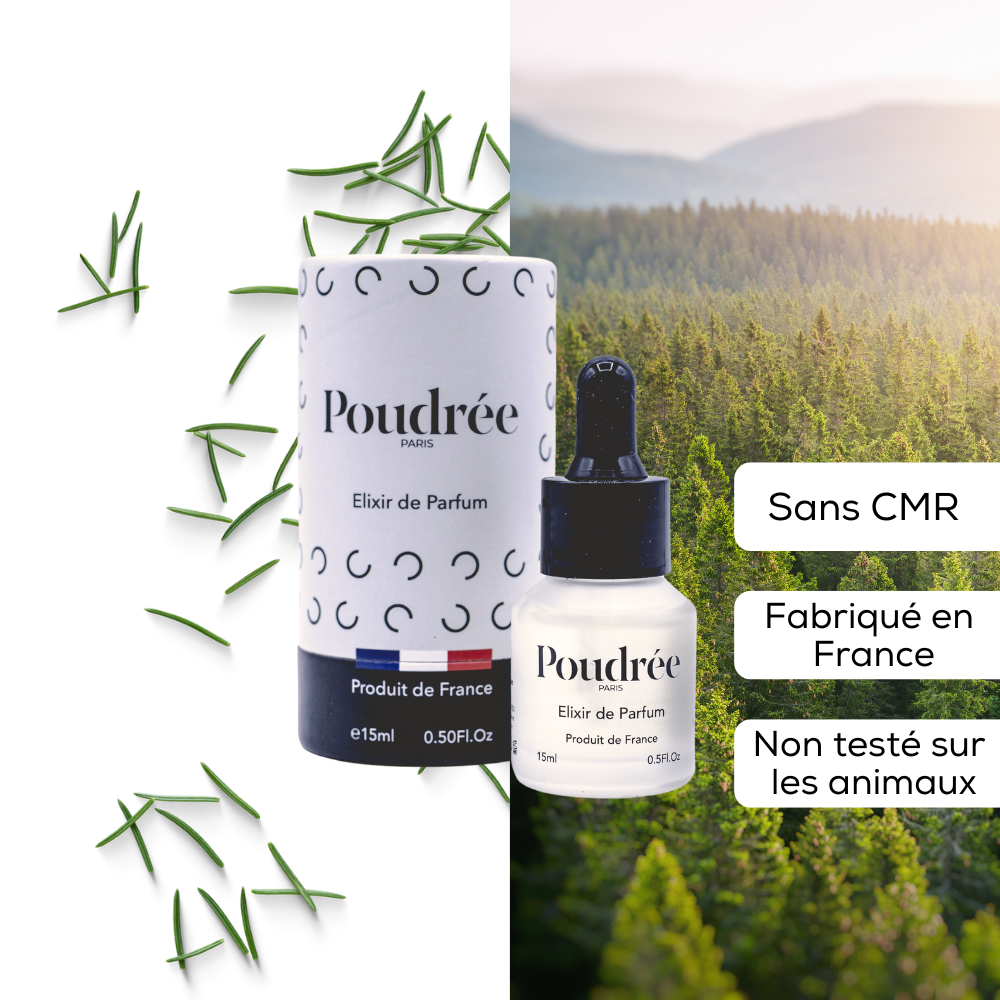 Balade en Forêt