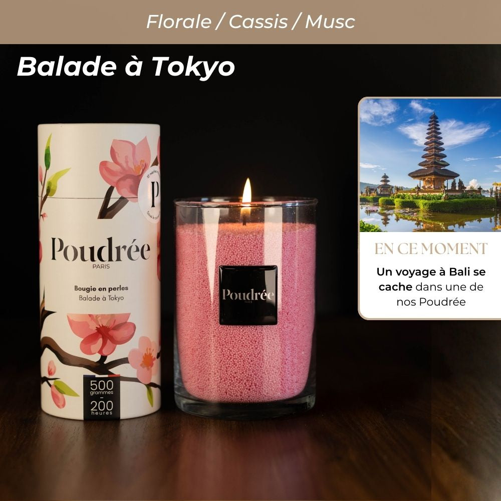 Pack Découverte Permanente