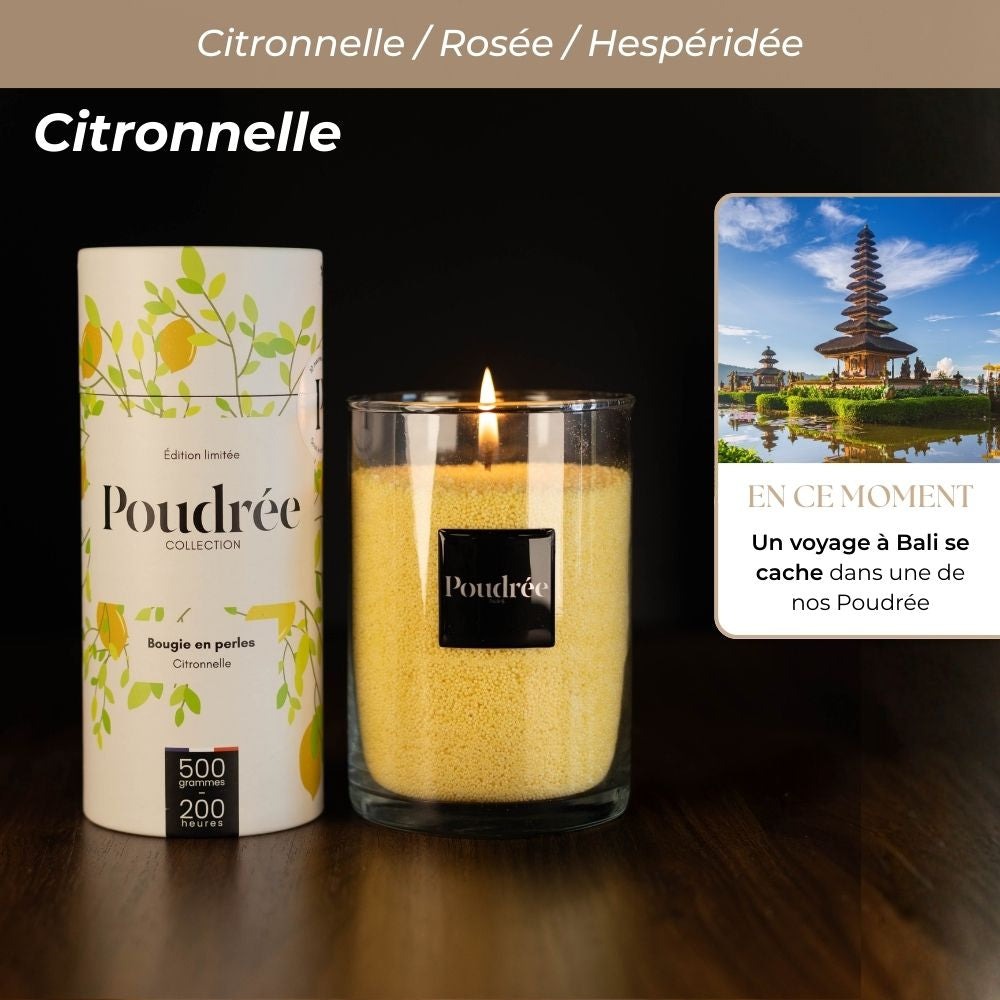 Pack Découverte Permanente