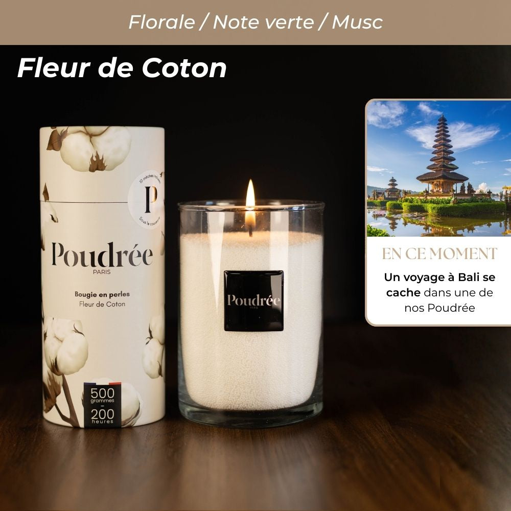 Pack Découverte Permanente