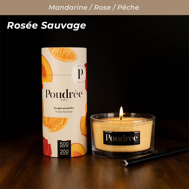 Pack Découverte Permanente